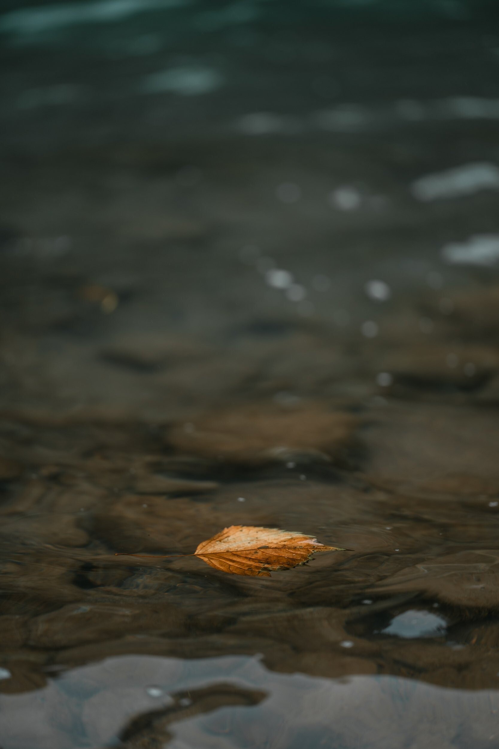 写真-134