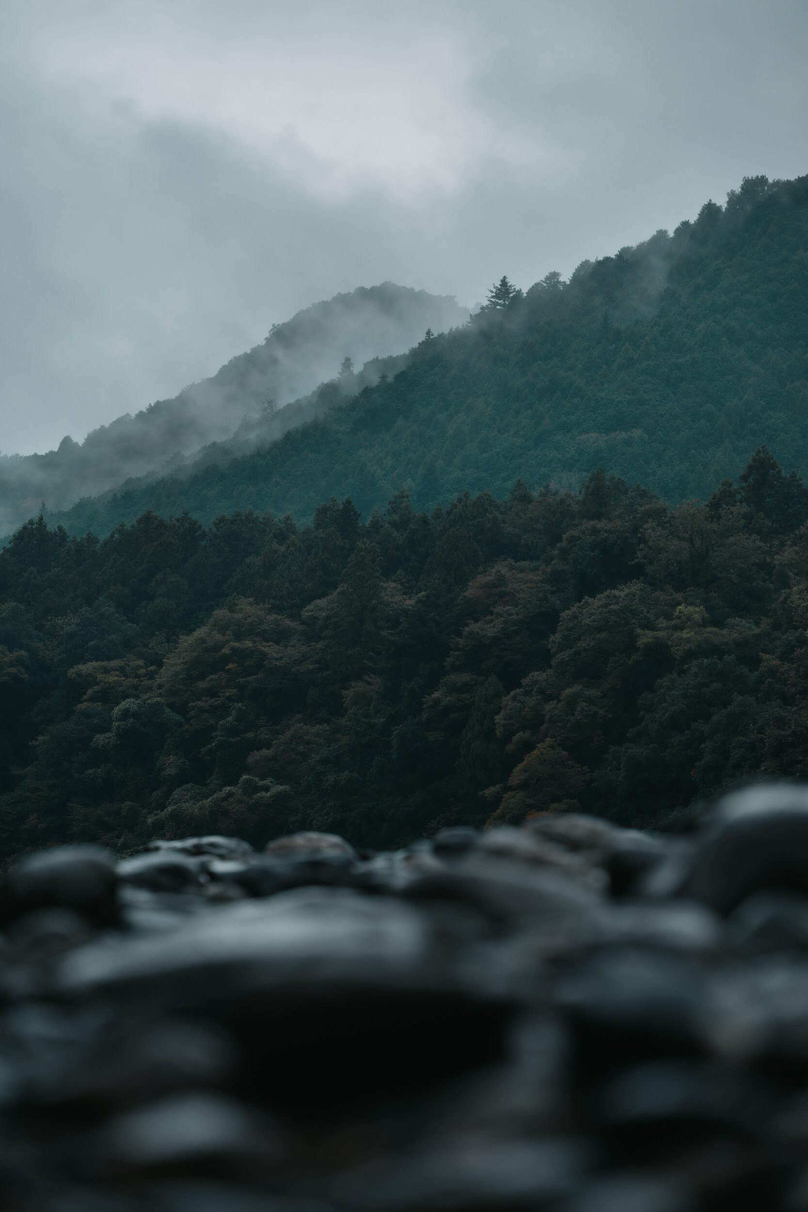 写真-133