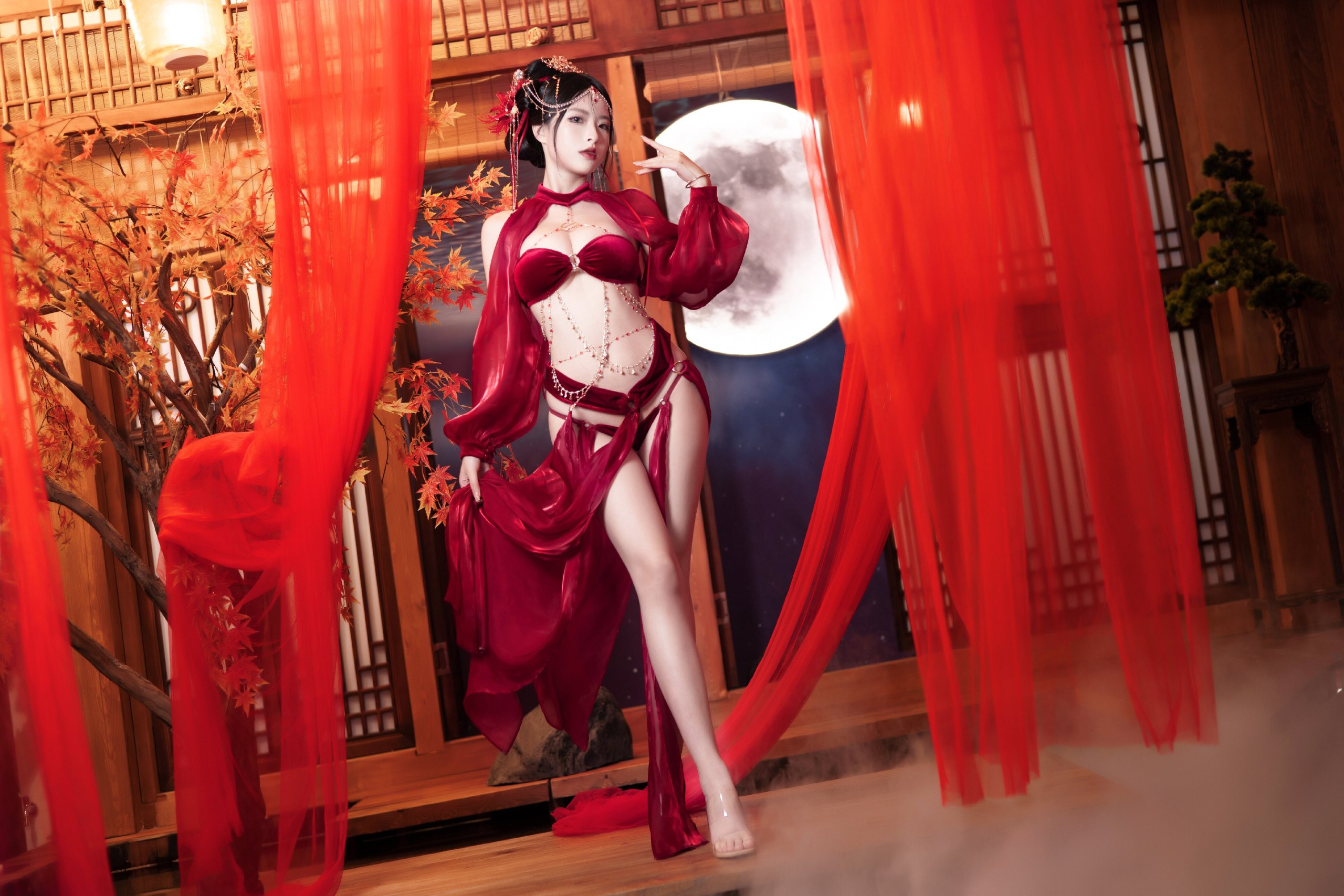 月下舞姬 写真集