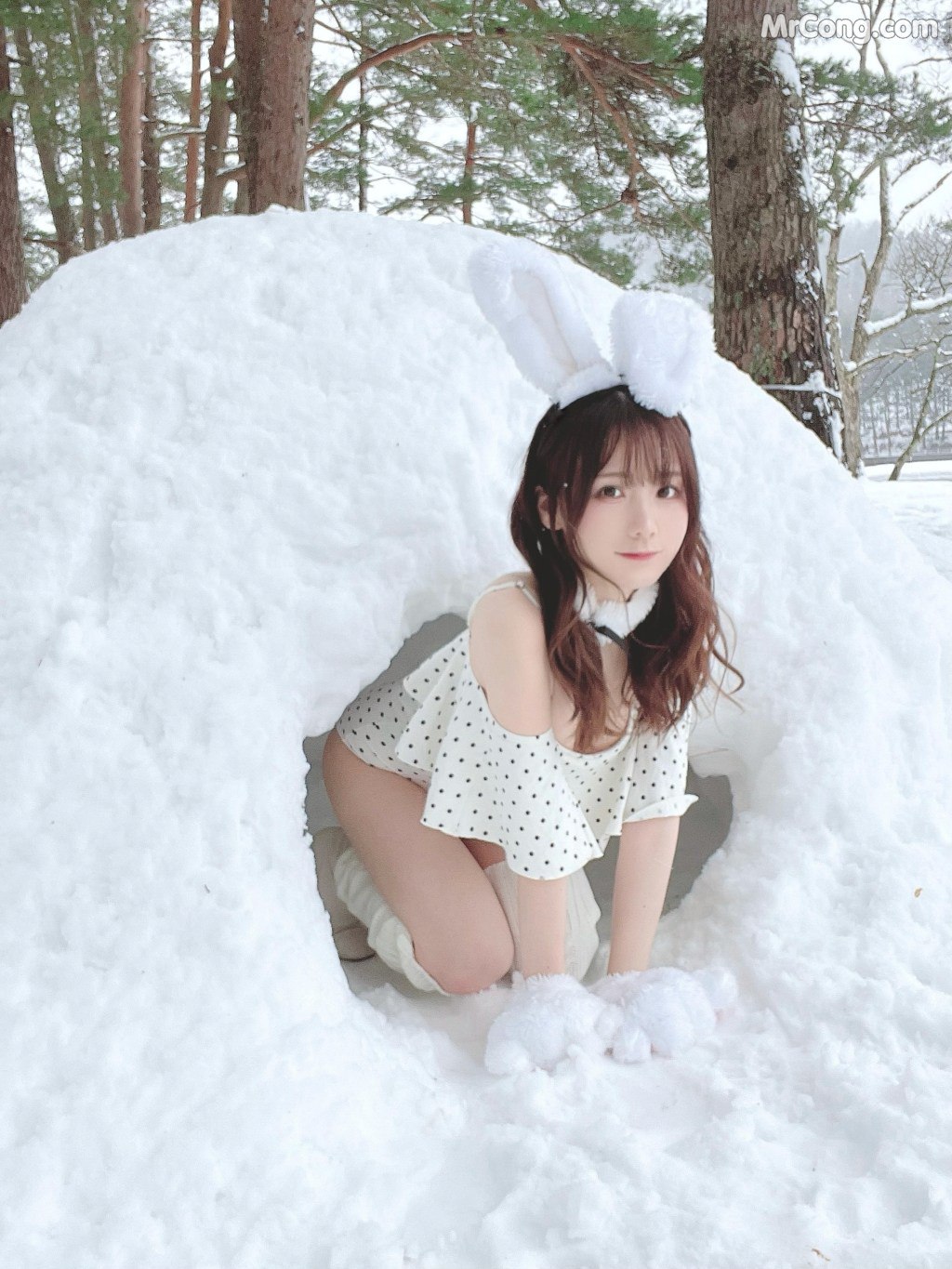 写真-113