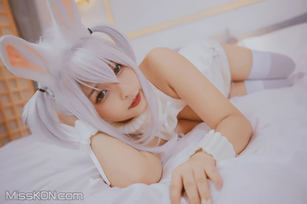 写真-113