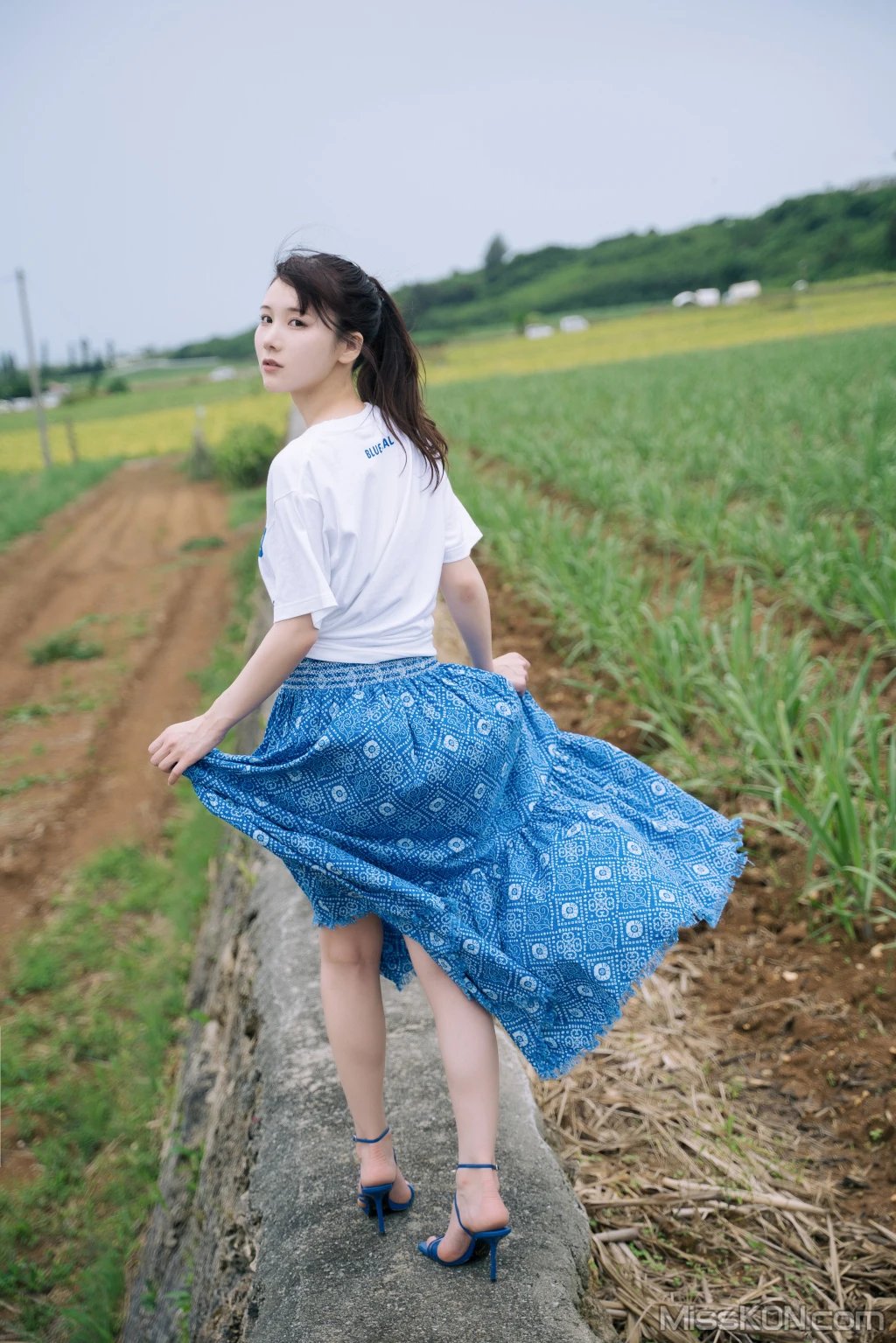 写真-114