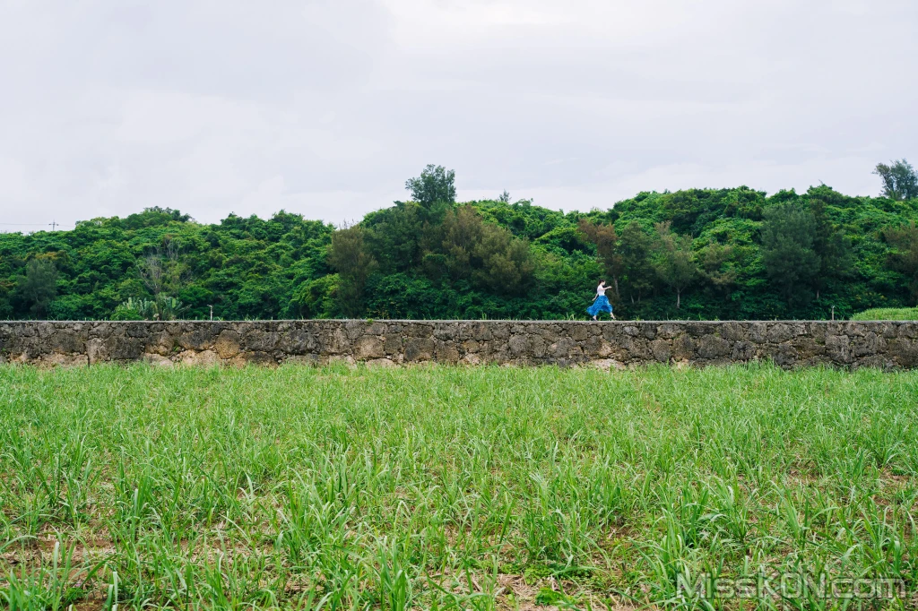 写真-110