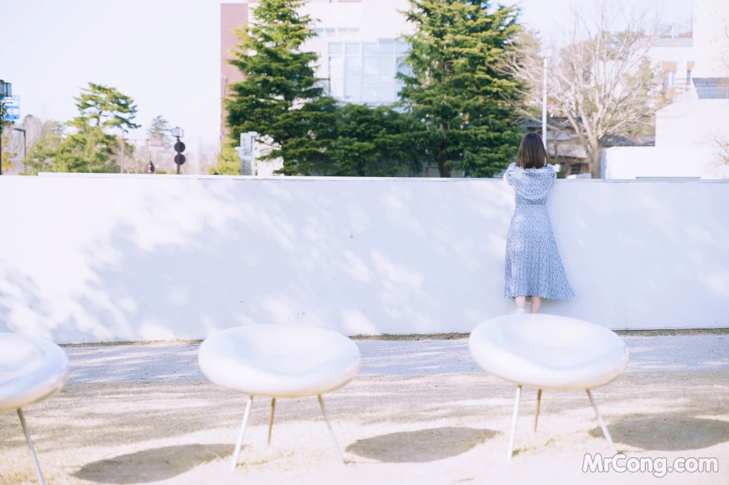 写真-50