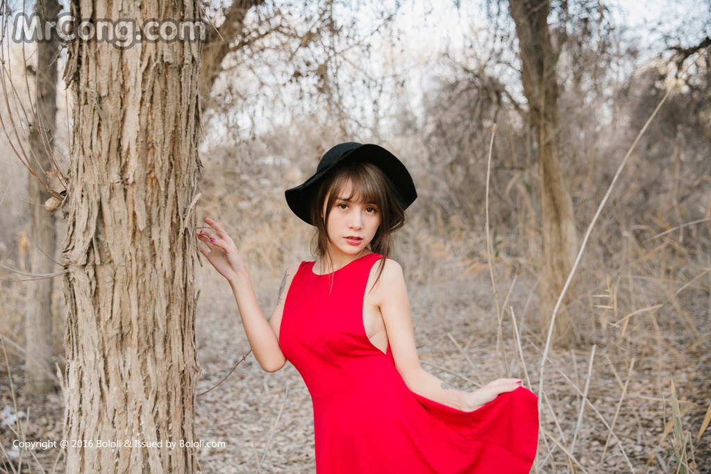 写真-12