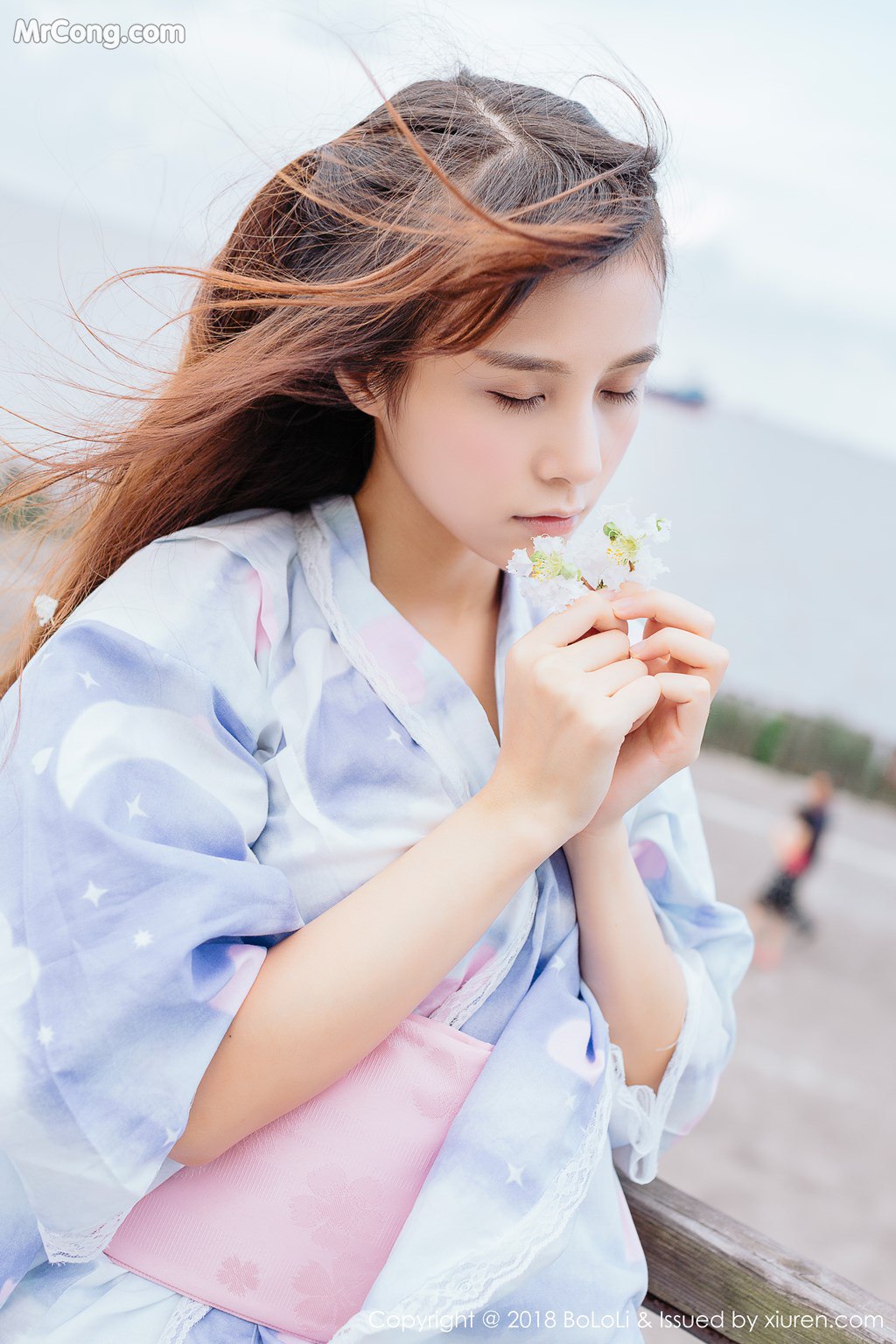 写真-1