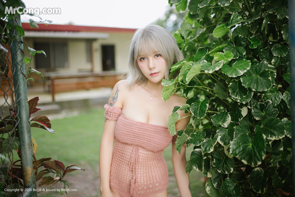 写真-1