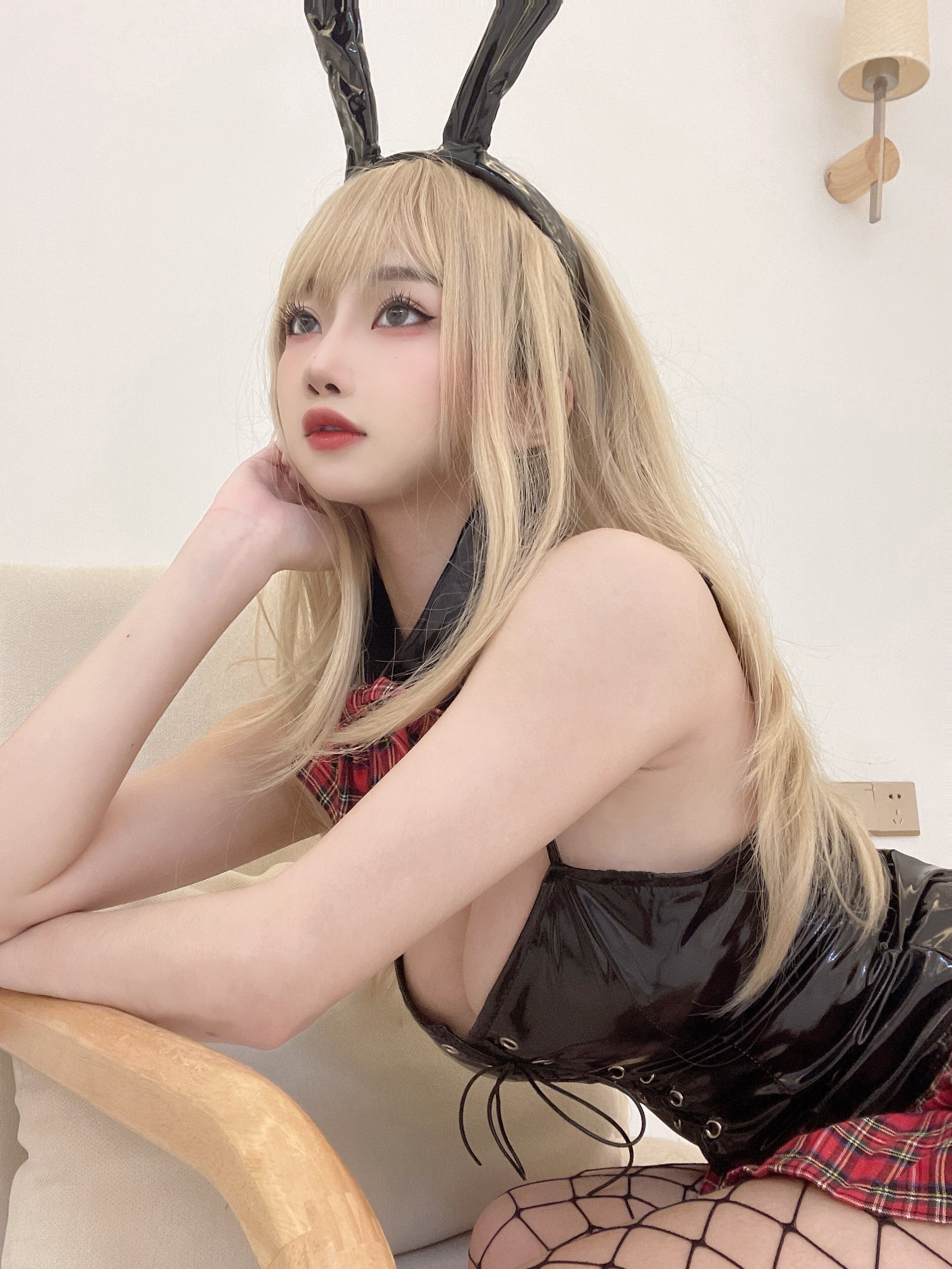 纱网兔