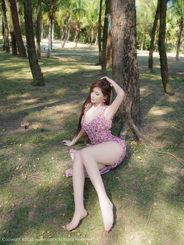 写真-5