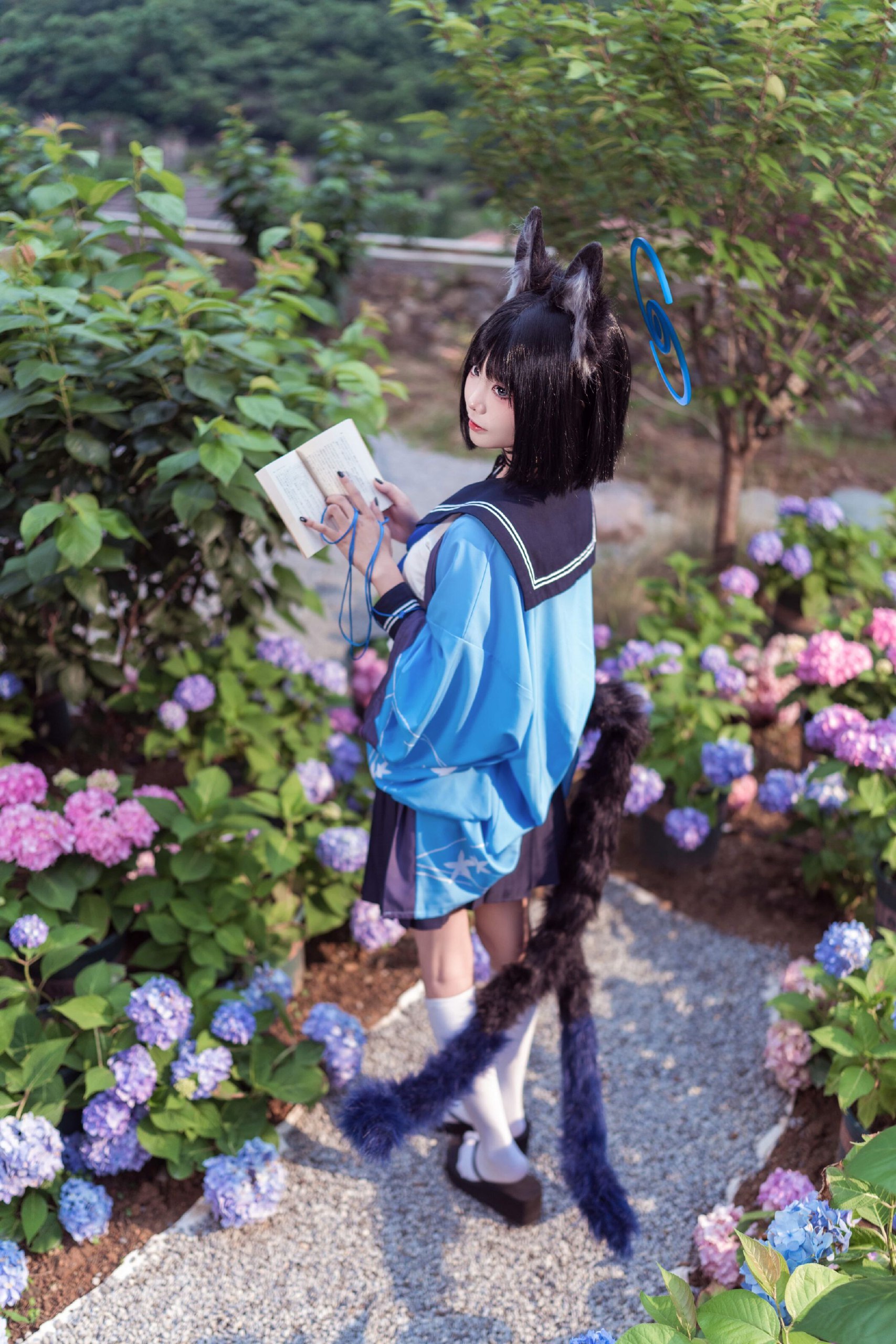 写真-12
