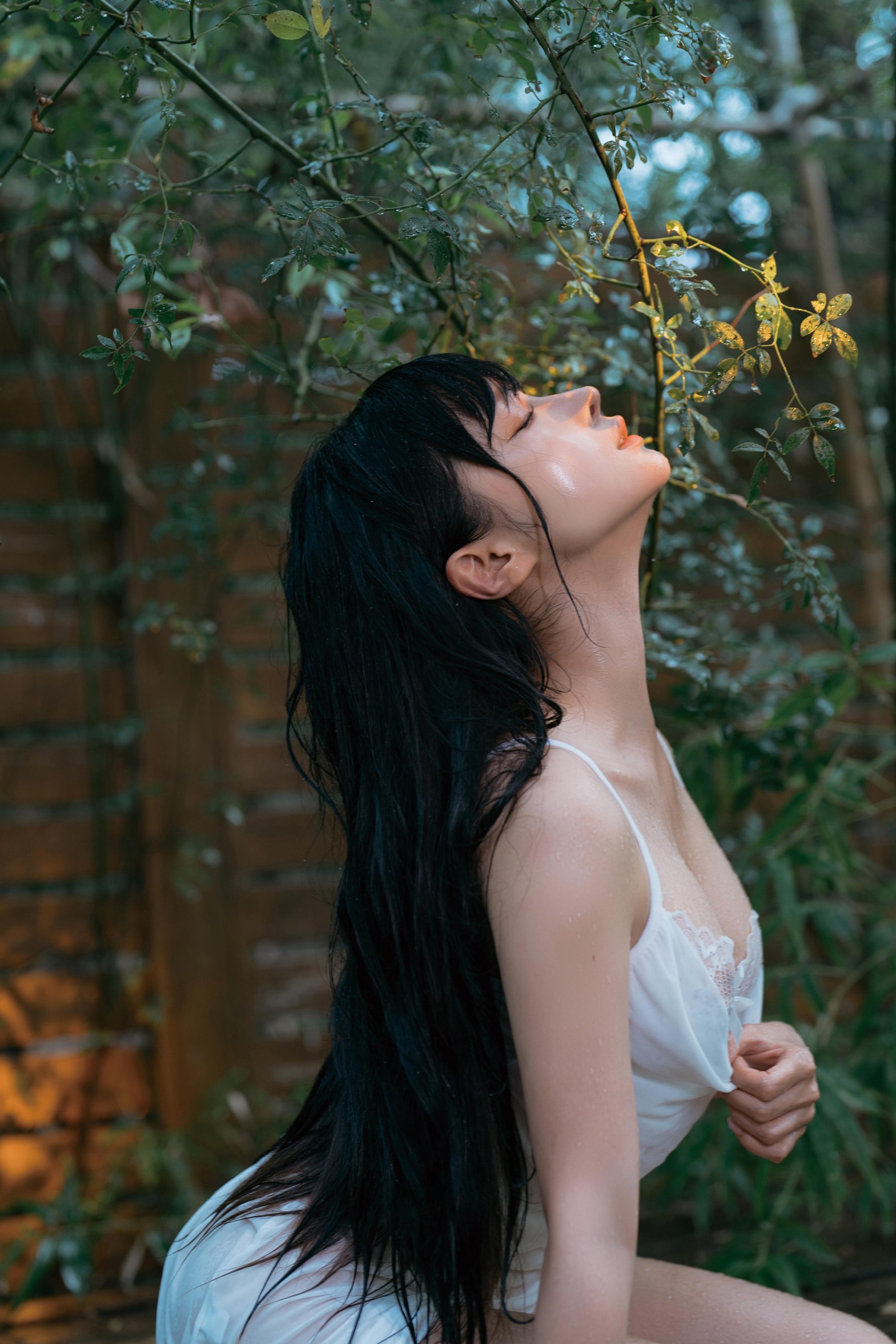 写真-1