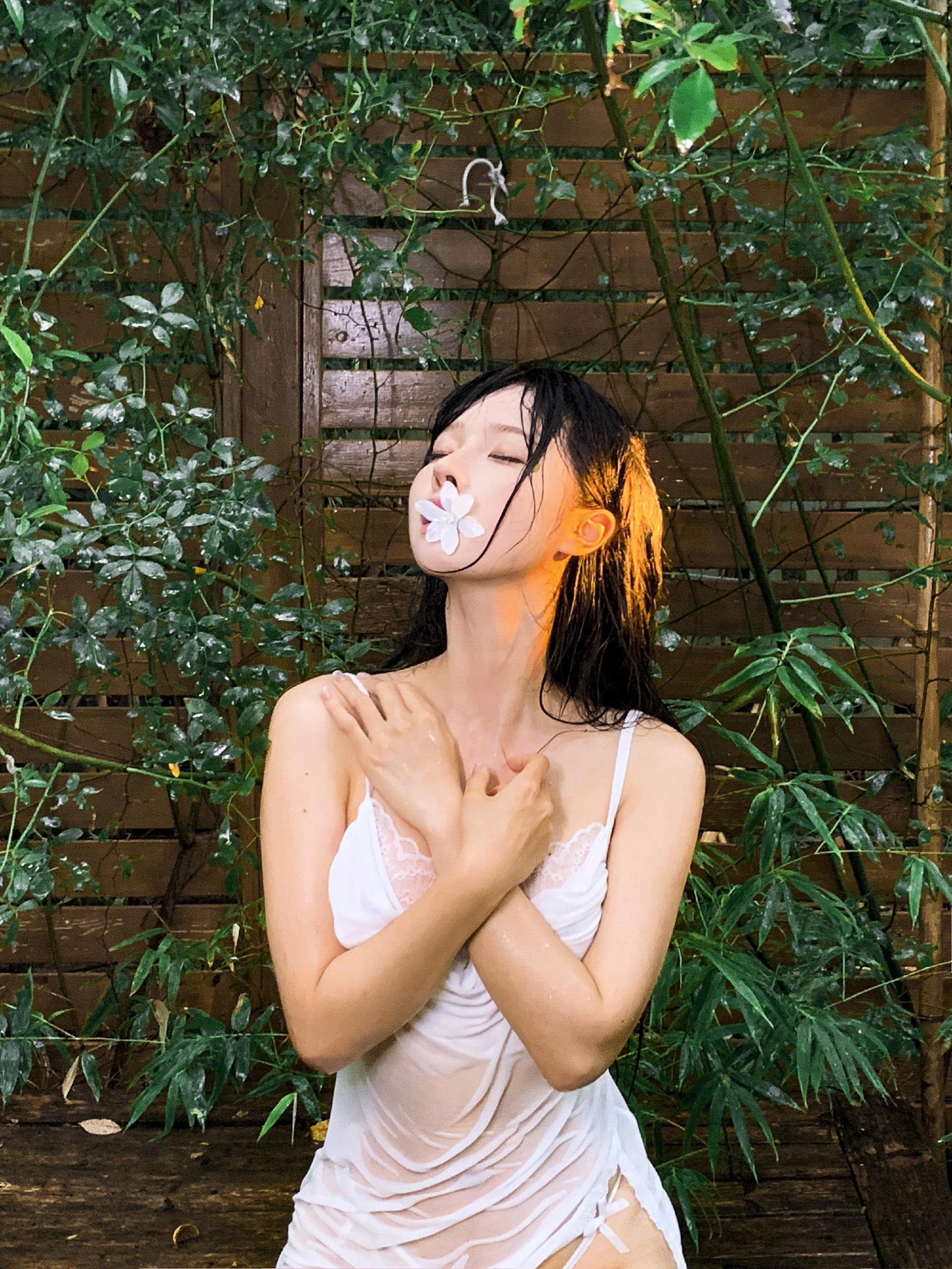 写真-11