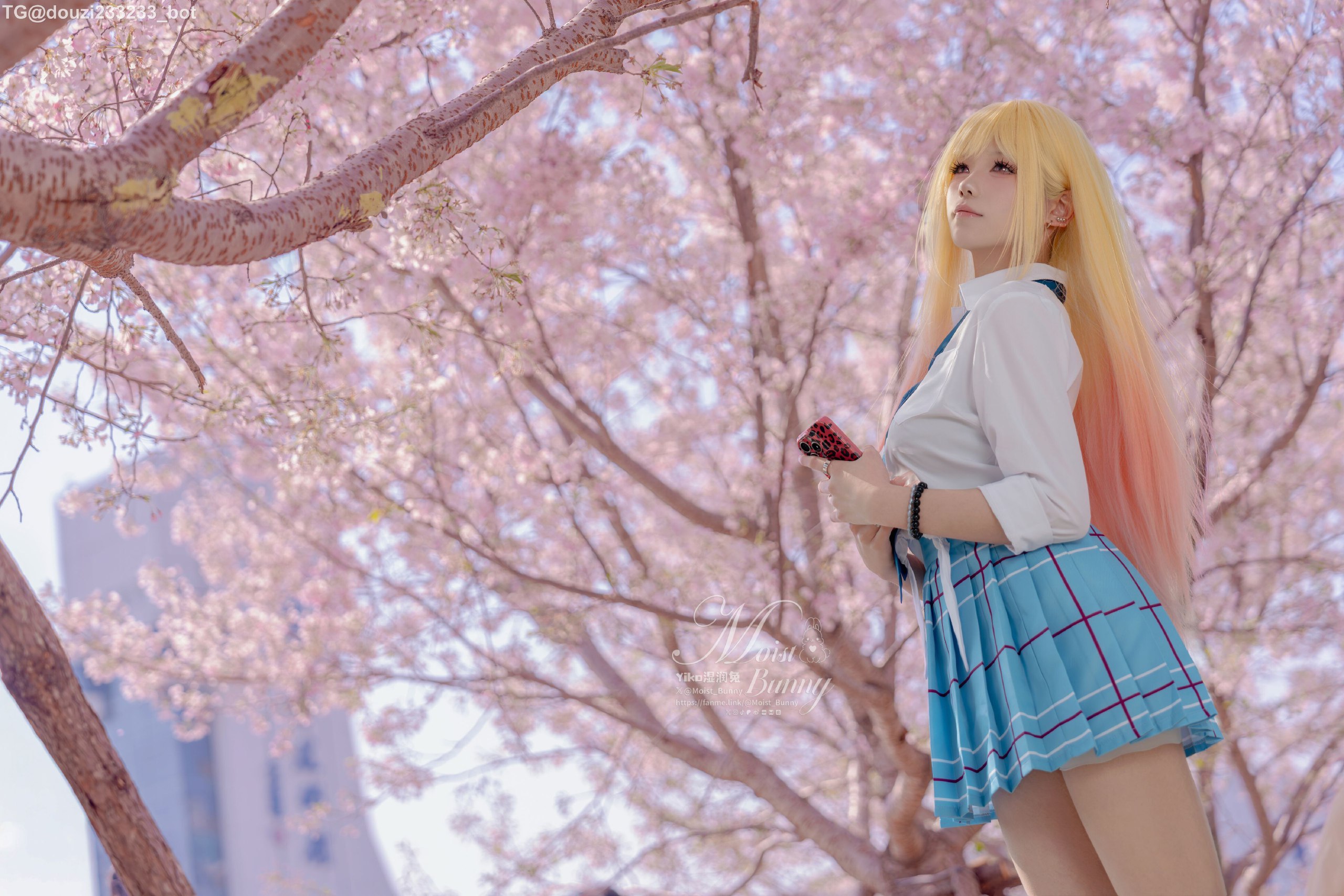 写真-1