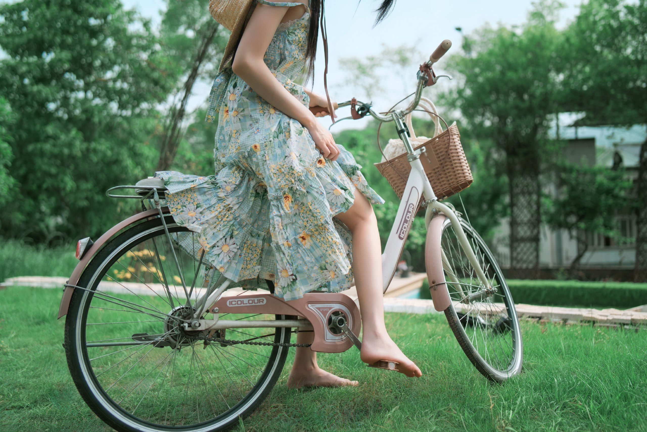 写真-2