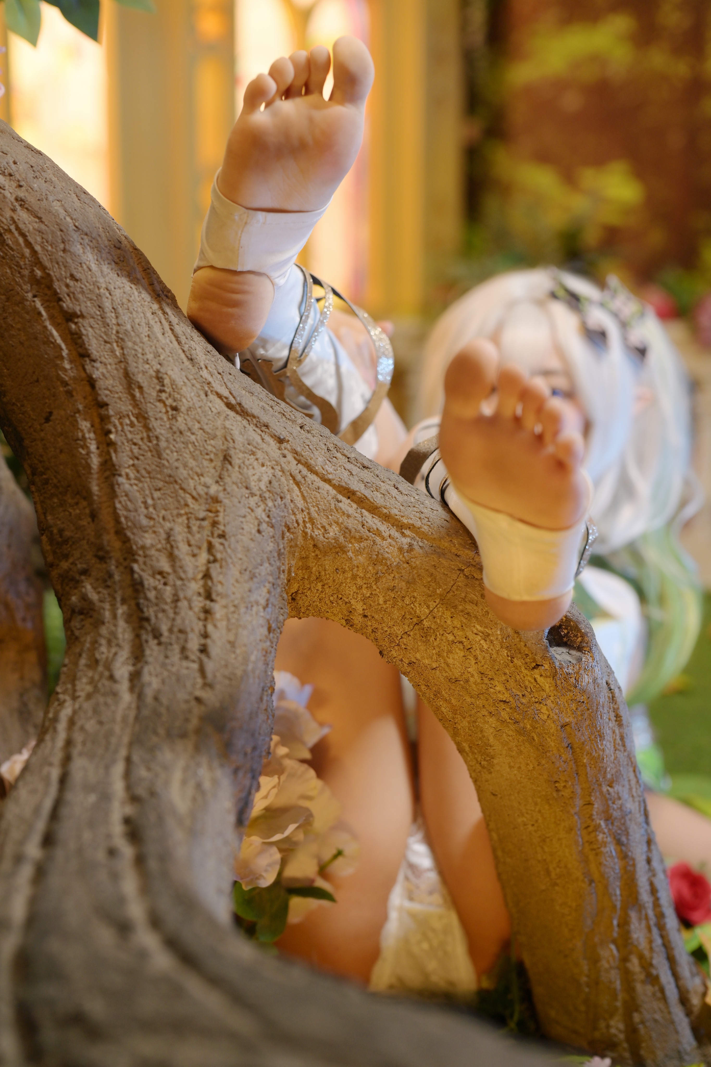 写真-14