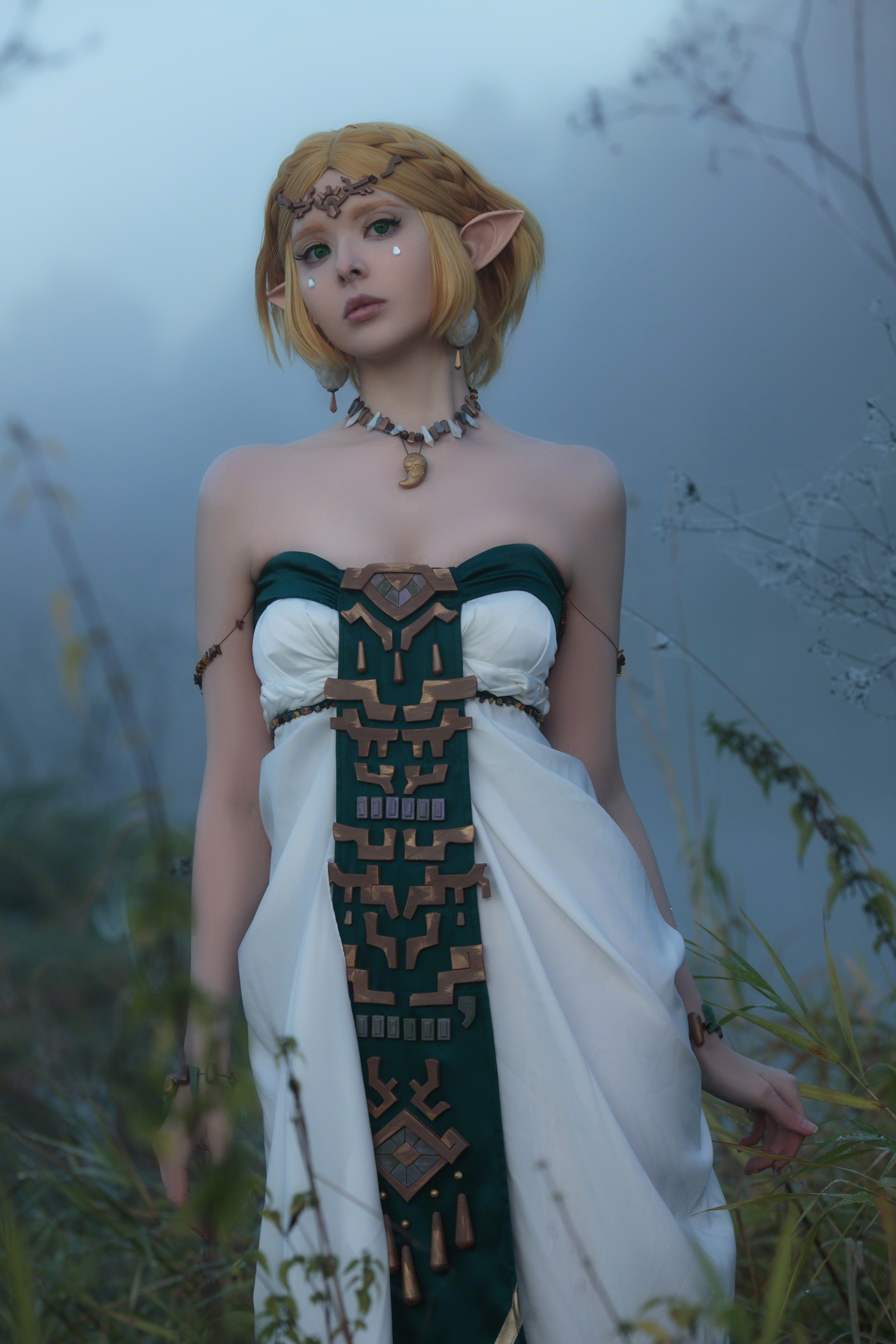 Zelda 写真集