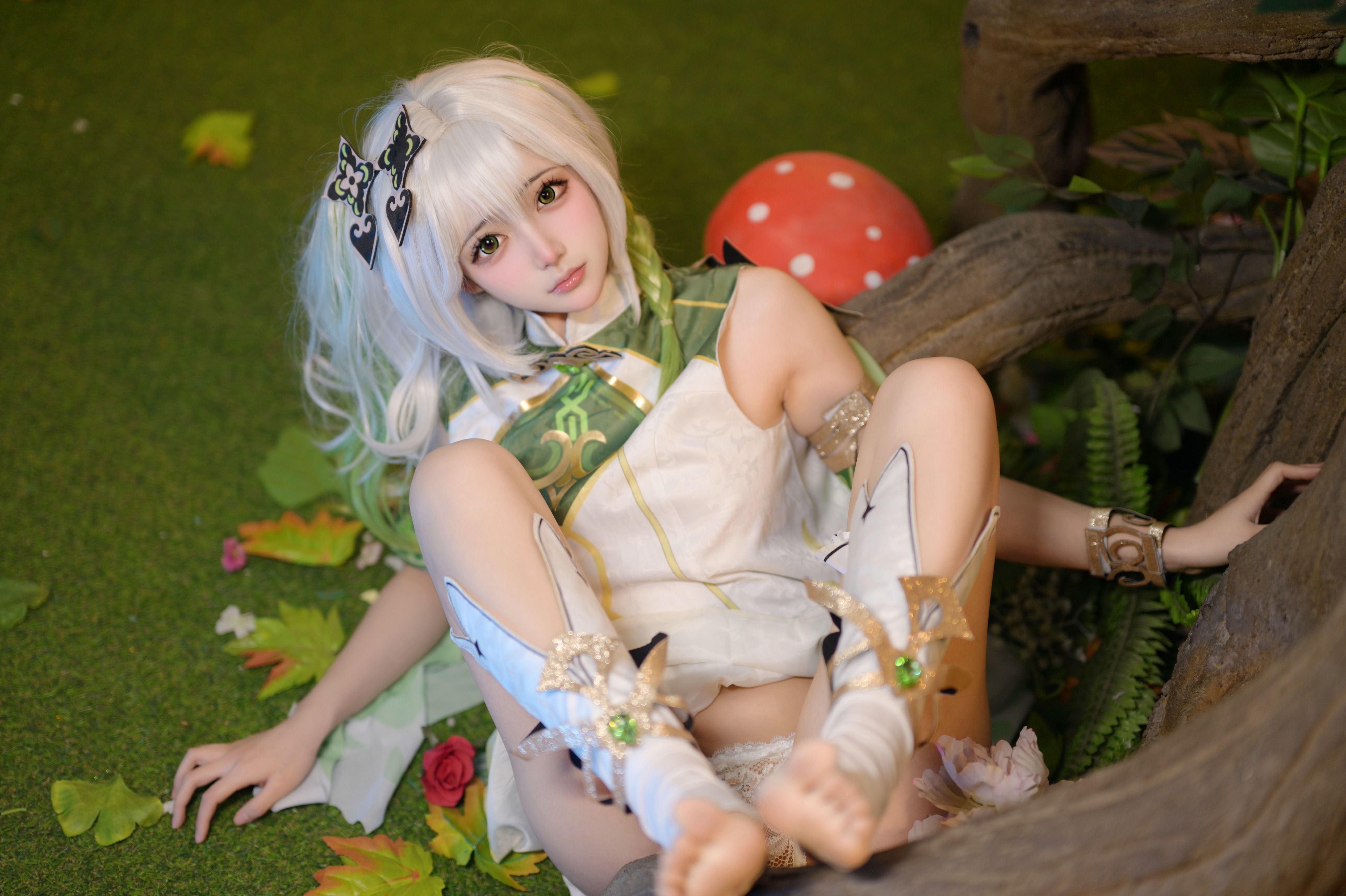 写真-12